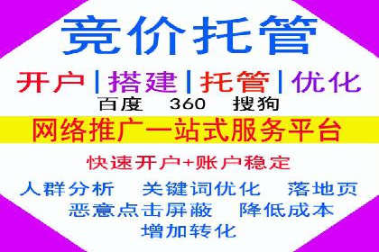 某企业通过百度广告实现品牌提升的历程